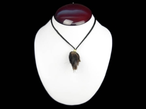 Real Hair-On Black Bear 1-Claw Necklace: Gallery Item 