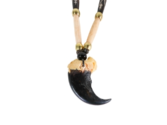 Real Black Bear Claw Necklace: Gallery Item 