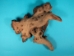 Driftwood: Large (4-7 lbs): Gallery Item - 562-L-G35 (Y2)