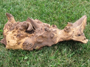 Driftwood: Large (4-7 lbs): Gallery Item 