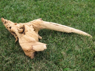 Driftwood: Large (4-7 lbs): Gallery Item 