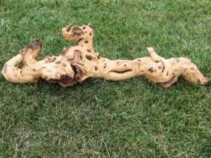 Driftwood: Large (4-7 lbs): Gallery Item 