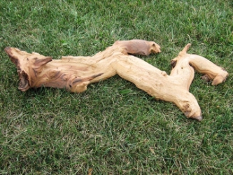Driftwood: Large (4-7 lbs): Gallery Item 