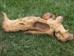 Driftwood: Large (4-7 lbs): Gallery Item - 562-L-G49 (Y3G-B2)