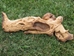 Driftwood: Large (4-7 lbs): Gallery Item - 562-L-G49 (Y3G-B3)