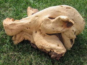 Driftwood: Large (4-7 lbs): Gallery Item 