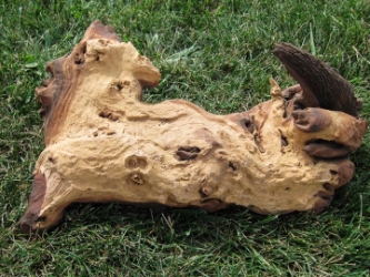 Driftwood: Large (4-7 lbs): Gallery Item 