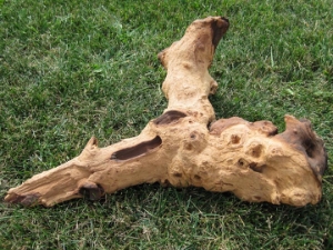 Driftwood: Large (4-7 lbs): Gallery Item 