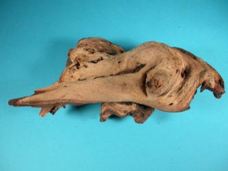 Driftwood: Medium (2-4 lbs): Gallery Item 