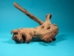 Driftwood: Medium (2-4 lbs): Gallery Item - 562-M-G43 (Y2)