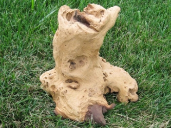 Driftwood: Medium (2-4 lbs): Gallery Item 