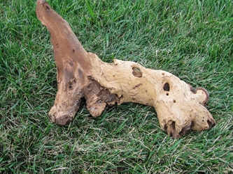 Driftwood: Medium (2-4 lbs): Gallery Item 