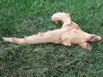 Driftwood: Medium (2-4 lbs): Gallery Item 