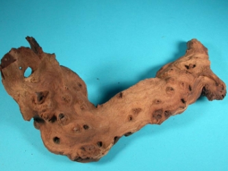 Driftwood: Small (0-2 lbs): Gallery Item 