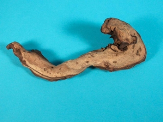 Driftwood: Small (0-2 lbs): Gallery Item 