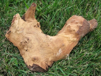 Driftwood: Small (0-2 lbs): Gallery Item 