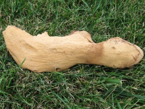 Driftwood: Small (0-2 lbs): Gallery Item 