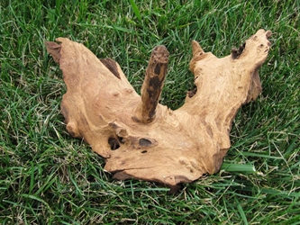 Driftwood: Small (0-2 lbs): Gallery Item 