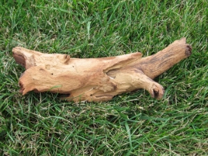 Driftwood: Small (0-2 lbs): Gallery Item 