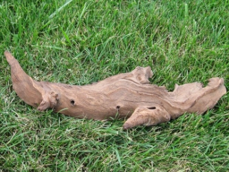 Driftwood: Small (0-2 lbs): Gallery Item 