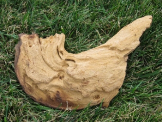 Driftwood: Small (0-2 lbs): Gallery Item 