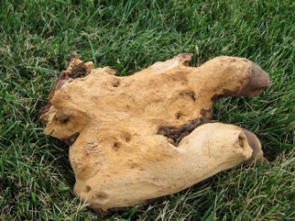 Driftwood: Small (0-2 lbs): Gallery Item 
