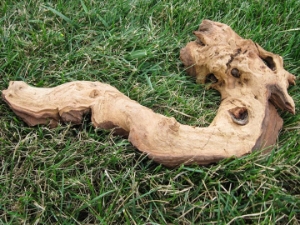 Driftwood: Small (0-2 lbs): Gallery Item 
