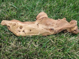 Driftwood: Small (0-2 lbs): Gallery Item 