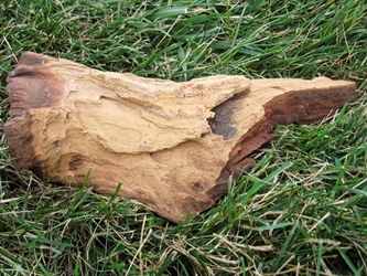 Driftwood: Small (0-2 lbs): Gallery Item 