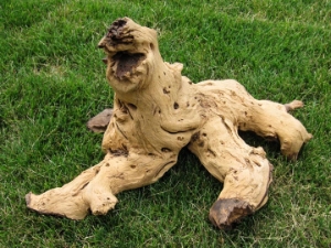 Driftwood: Extra Large (7+ lbs): Gallery Item 