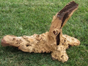 Driftwood: Extra Large (7+ lbs): Gallery Item 