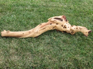 Driftwood: Extra Large (7+ lbs): Gallery Item 
