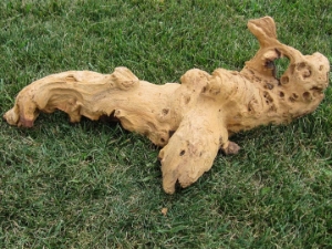 Driftwood: Extra Large (7+ lbs): Gallery Item 