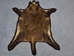 Mounted Wild Boar Rug: Gallery Item - 577-MT-G36 (Y3C)