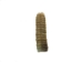 Trophy Grade Real Rattlesnake Rattle: #1: Gallery Item - 598-R1-G10 (C4C)