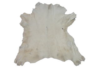 Calf Skin: Gallery Item 