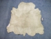 Jumbo Calf Skins with Fine Hair: Gallery Item - 62-10-G105 (Y2ORM)