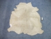 Jumbo Calf Skins with Fine Hair: Gallery Item - 62-10-G106 (Y2ORM)
