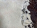 Jumbo Calf Skins with Fine Hair: Gallery Item - 62-10-G106 (Y2ORM)
