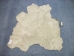 Jumbo Calf Skins with Fine Hair: Gallery Item - 62-10-G108 (Y2ORM)