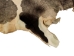 Calf Slink Skin: Large: Gallery Item - 62-50-L-G162 (Y1HRH)