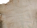 Calf Slink Skin: Large: Gallery Item - 62-50-L-G162 (Y1HRH)