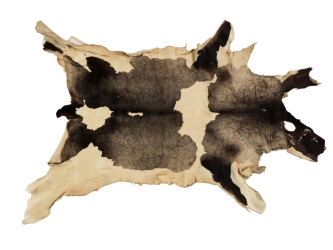 Calf Slink Skin: Large: Gallery Item 
