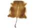Cow Hide: Large: Gallery Item - 62-L-BN101 (Y2PRD)