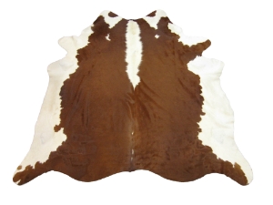 Cow Hide: Large: Gallery Item 