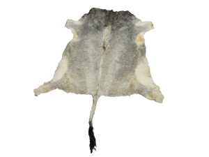 Cow Hide: Large: Gallery Item 