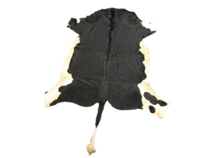 Cow Hide: Medium: Gallery Item 