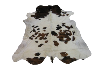 Cow Hide: Medium: Gallery Item 