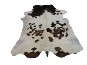Cow Hide: Medium: Gallery Item 