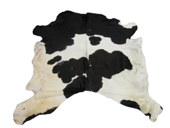 Cow Hide: Medium: Gallery Item 